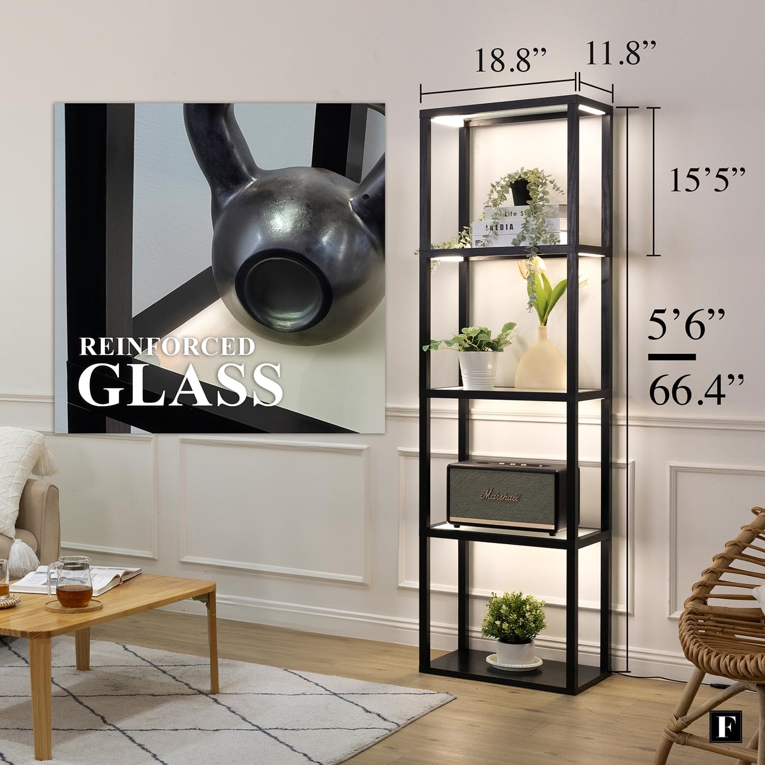 LED Glass Collectible Display Cabinet